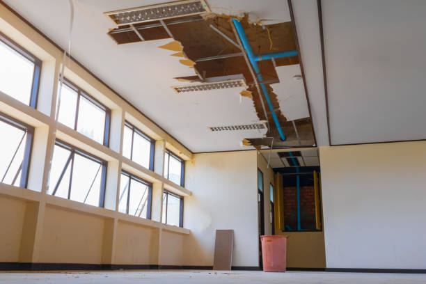 Best Water damage restoration process  in Groton, SD