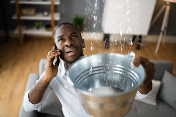 Best Professional water damage repair  in Groton, SD