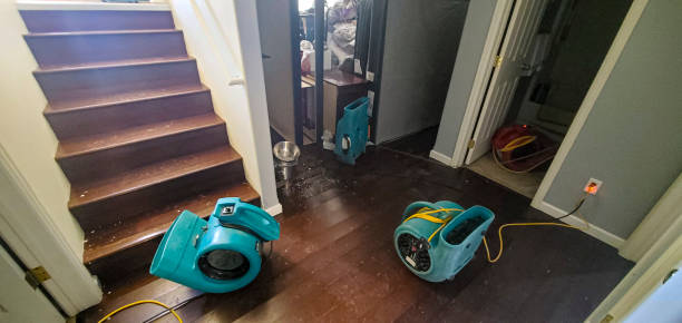 Best Water damage restoration near me  in Groton, SD