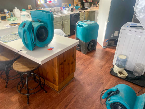 Best Ceiling water damage repair  in Groton, SD