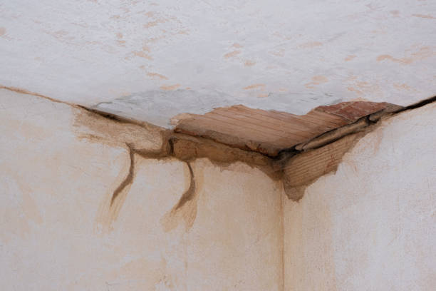Best Water damage repair service  in Groton, SD