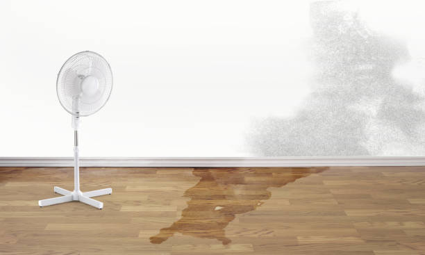 Best Ceiling water damage repair  in Groton, SD