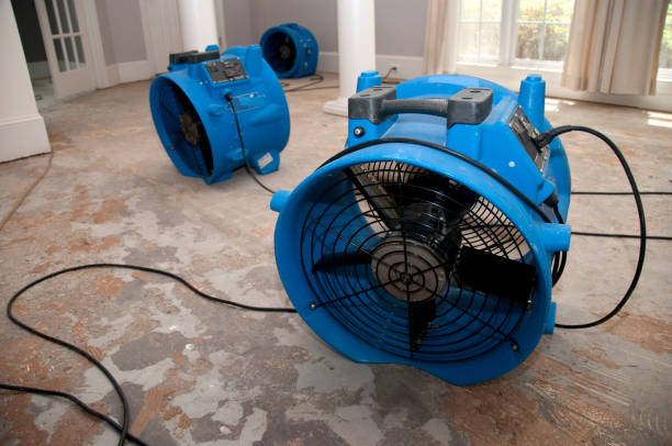 Best Sewage cleanup and water damage restoration  in Groton, SD