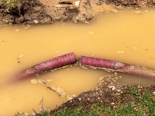 Best Local water damage restoration  in Groton, SD