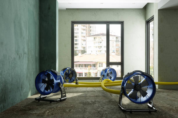 Best 24-hour water damage restoration  in Groton, SD